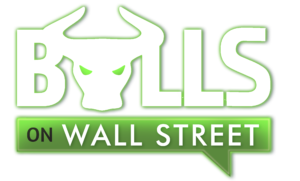 bulls logo